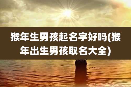 猴年生男孩起名字好吗(猴年出生男孩取名大全)