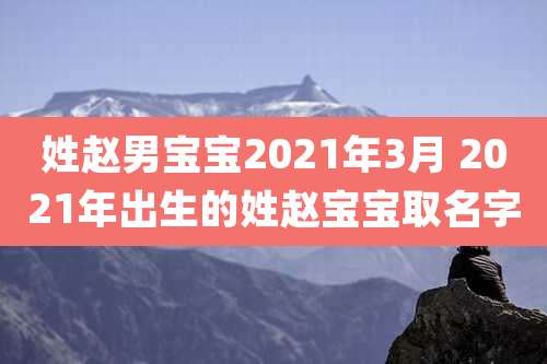 姓赵男宝宝2021年3月 2021年出生的姓赵宝宝取名字