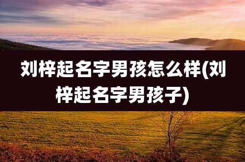刘梓起名字男孩怎么样(刘梓起名字男孩子)