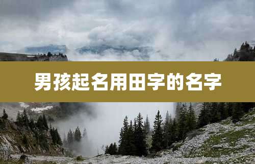 男孩起名用田字的名字