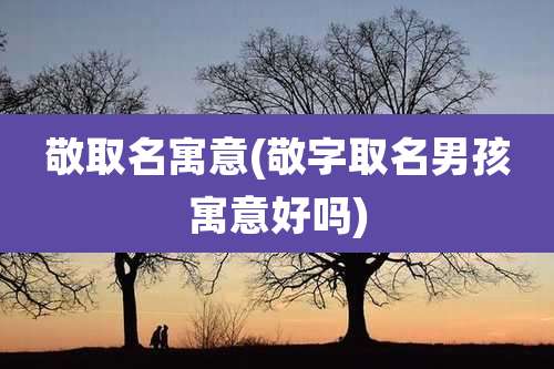 敬取名寓意(敬字取名男孩寓意好吗)