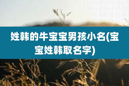 姓韩的牛宝宝男孩小名(宝宝姓韩取名字)