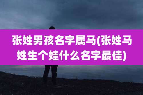 张姓男孩名字属马(张姓马姓生个娃什么名字最佳)