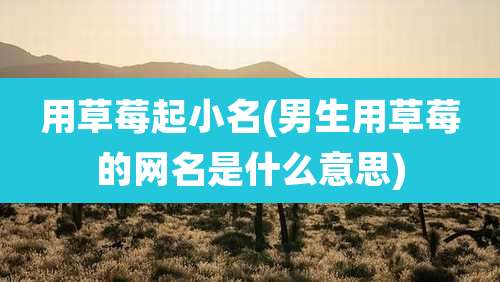 用草莓起小名(男生用草莓的网名是什么意思)