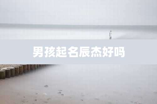 男孩起名辰杰好吗