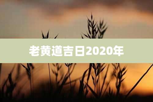 老黄道吉日2020年