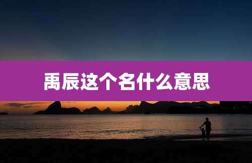 禹辰这个名什么意思