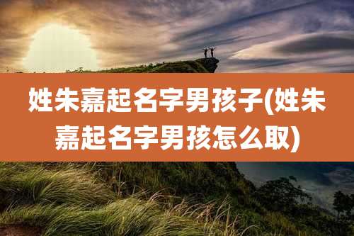 姓朱嘉起名字男孩子(姓朱嘉起名字男孩怎么取)