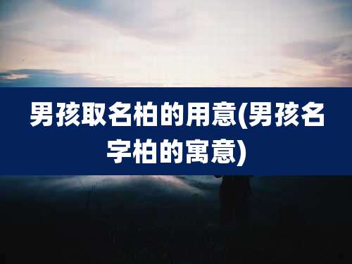 男孩取名柏的用意(男孩名字柏的寓意)