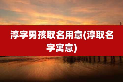 淳字男孩取名用意(淳取名字寓意)