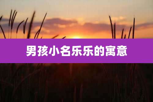 男孩小名乐乐的寓意