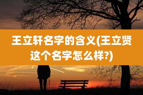 王立轩名字的含义(王立贤这个名字怎么样?)