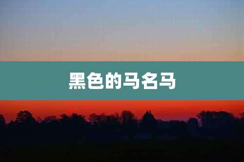 黑色的马名马