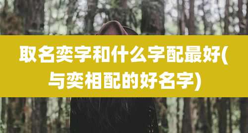 取名奕字和什么字配最好(与奕相配的好名字)