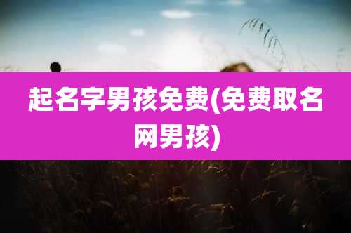 起名字男孩免费(免费取名网男孩)
