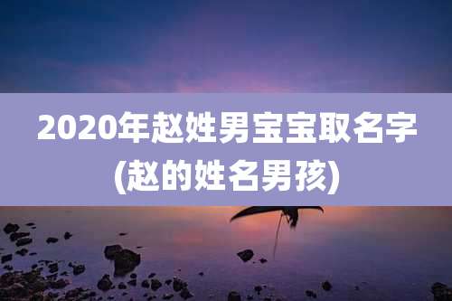 2020年赵姓男宝宝取名字(赵的姓名男孩)
