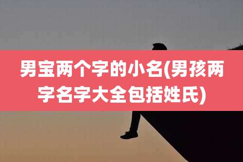 男宝两个字的小名(男孩两字名字大全包括姓氏)