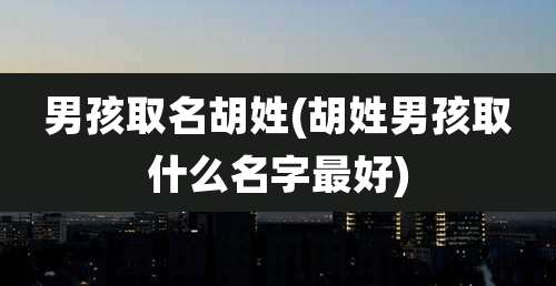 男孩取名胡姓(胡姓男孩取什么名字最好)