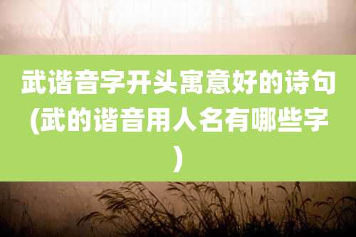 武谐音字开头寓意好的诗句(武的谐音用人名有哪些字)