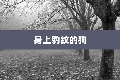 身上豹纹的狗