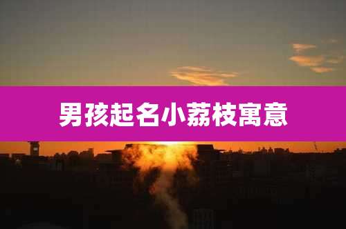 男孩起名小荔枝寓意