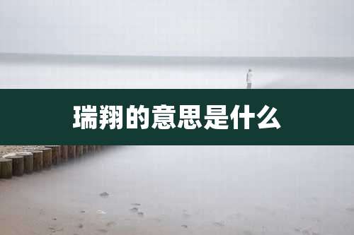 瑞翔的意思是什么