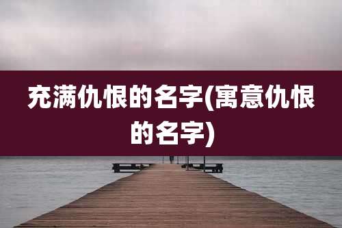 充满仇恨的名字(寓意仇恨的名字)