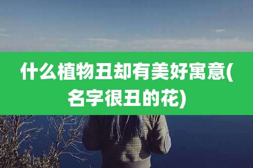 什么植物丑却有美好寓意(名字很丑的花)