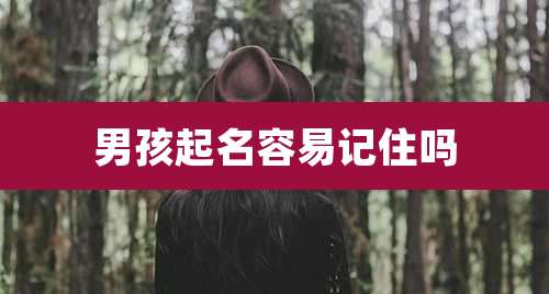 男孩起名容易记住吗