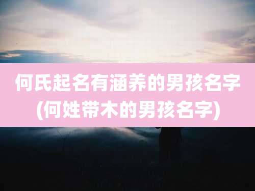 何氏起名有涵养的男孩名字(何姓带木的男孩名字)