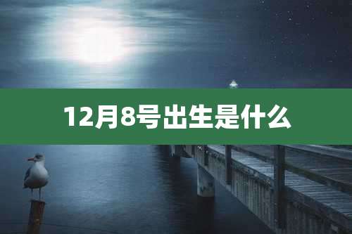 12月8号出生是什么