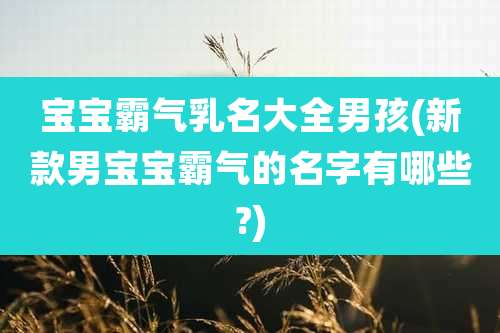 宝宝霸气乳名大全男孩(新款男宝宝霸气的名字有哪些?)