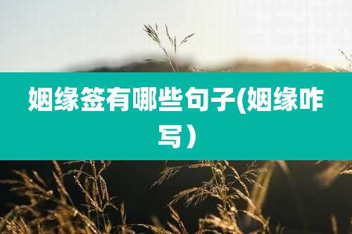 姻缘签有哪些句子(姻缘咋写)