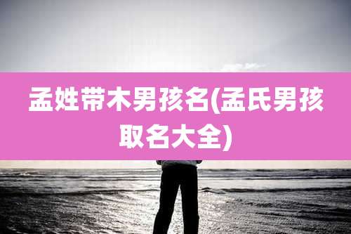 孟姓带木男孩名(孟氏男孩取名大全)