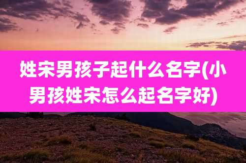 姓宋男孩子起什么名字(小男孩姓宋怎么起名字好)