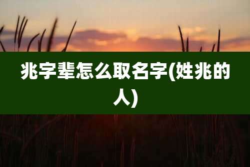 兆字辈怎么取名字(姓兆的人)
