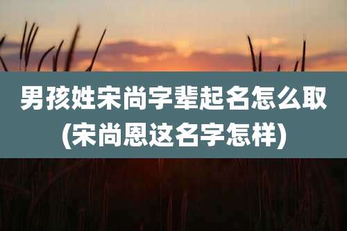 男孩姓宋尚字辈起名怎么取(宋尚恩这名字怎样)