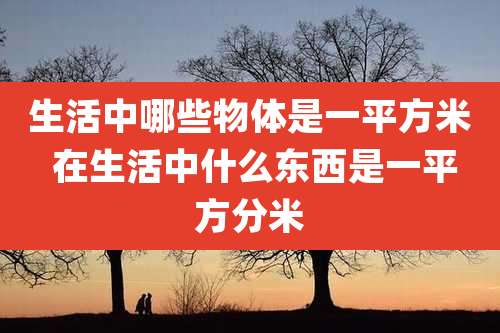 生活中哪些物体是一平方米 在生活中什么东西是一平方分米