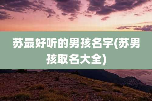 苏最好听的男孩名字(苏男孩取名大全)