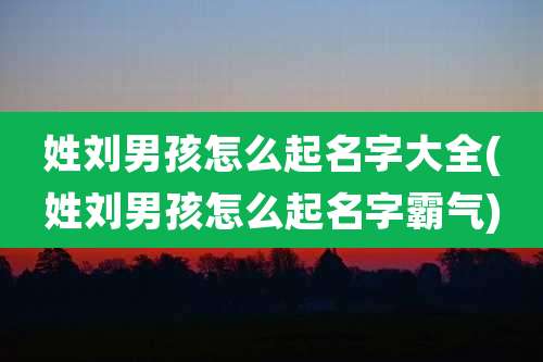 姓刘男孩怎么起名字大全(姓刘男孩怎么起名字霸气)