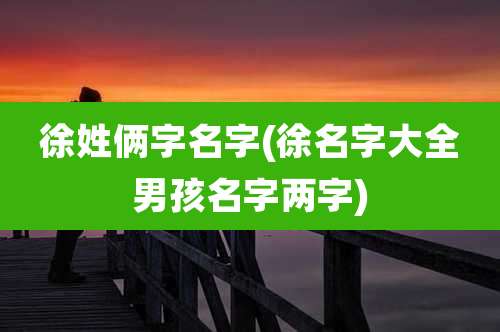 徐姓俩字名字(徐名字大全男孩名字两字)