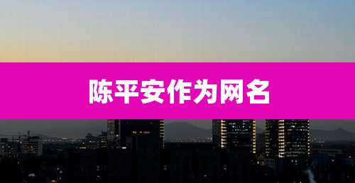 陈平安作为网名