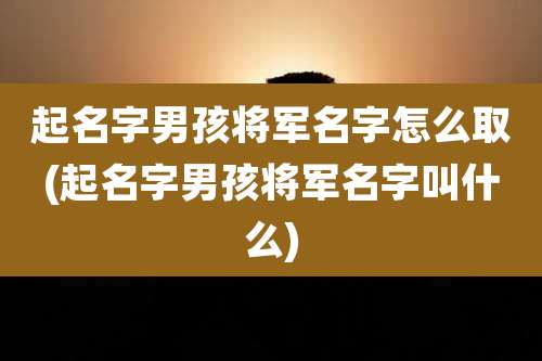 起名字男孩将军名字怎么取(起名字男孩将军名字叫什么)