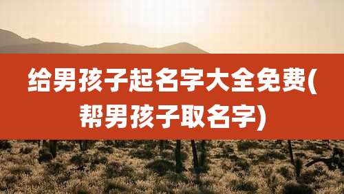 给男孩子起名字大全免费(帮男孩子取名字)