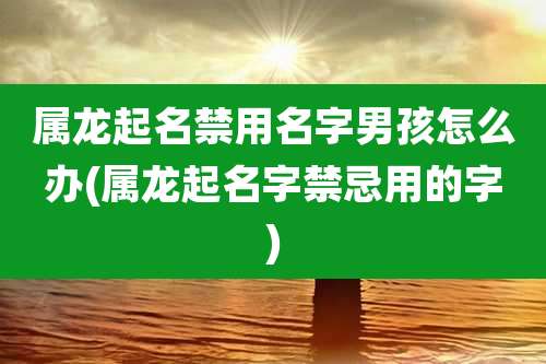 属龙起名禁用名字男孩怎么办(属龙起名字禁忌用的字)