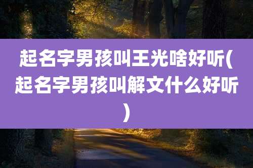 起名字男孩叫王光啥好听(起名字男孩叫解文什么好听)