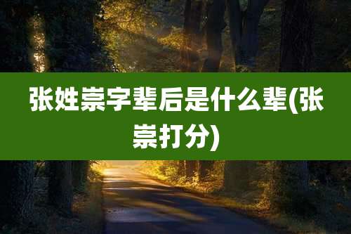 张姓崇字辈后是什么辈(张崇打分)