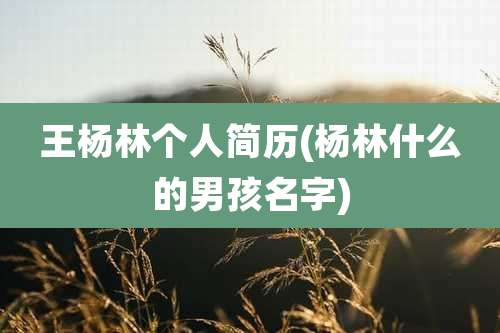 王杨林个人简历(杨林什么的男孩名字)