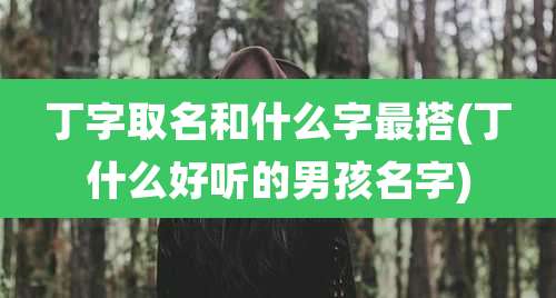丁字取名和什么字最搭(丁什么好听的男孩名字)