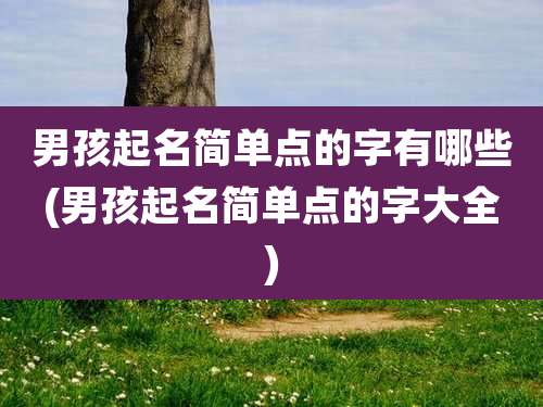 男孩起名简单点的字有哪些(男孩起名简单点的字大全)